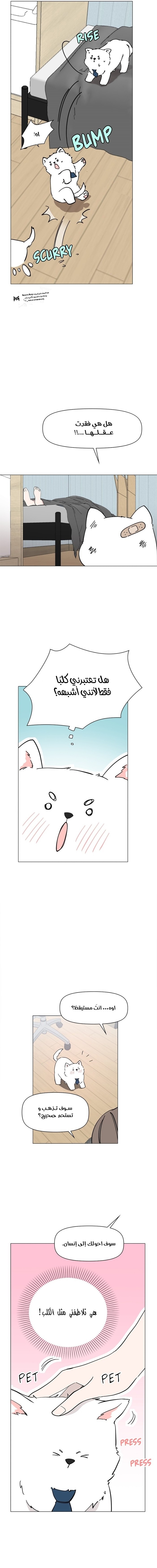 Read How to Hold X’s Leash ar Manga Online