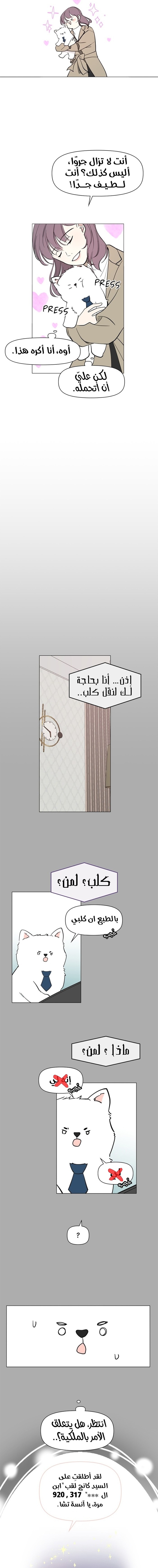 Read How to Hold X’s Leash ar Manga Online