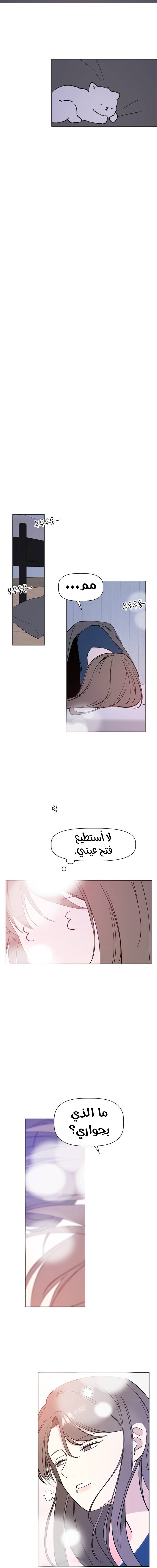 Read How to Hold X’s Leash ar Manga Online