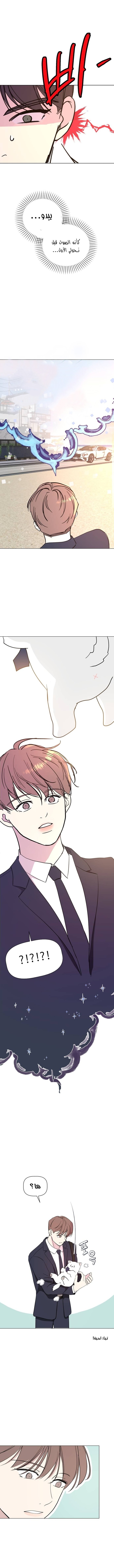 Read How to Hold X’s Leash ar Manga Online