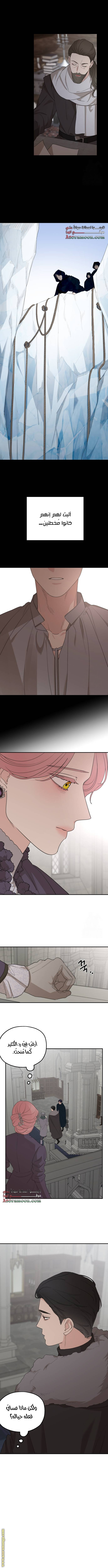 Read My in-laws are obsessed with me ar Manga Online