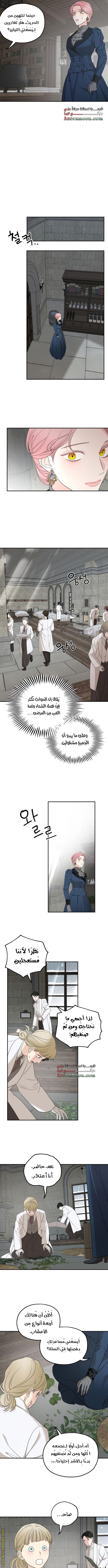 Read My in-laws are obsessed with me ar Manga Online