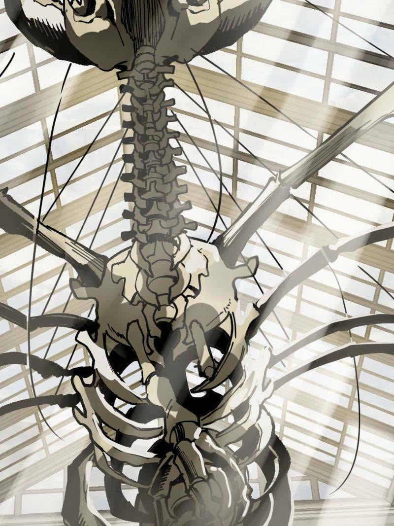 Read All Starts With Ubume Manga Online