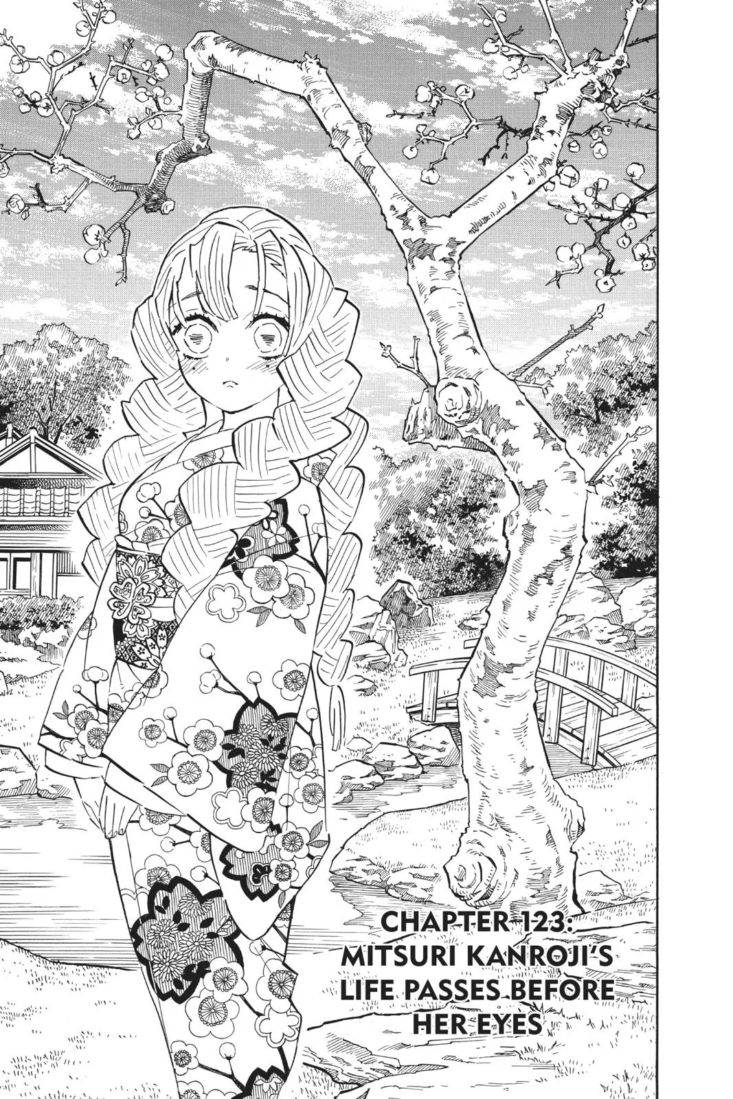 Read Demon Slayer - Kimetsu no Yaiba Manga Online