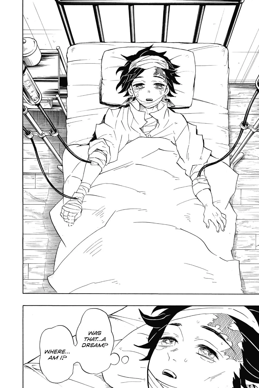 Read Demon Slayer - Kimetsu no Yaiba Manga Online