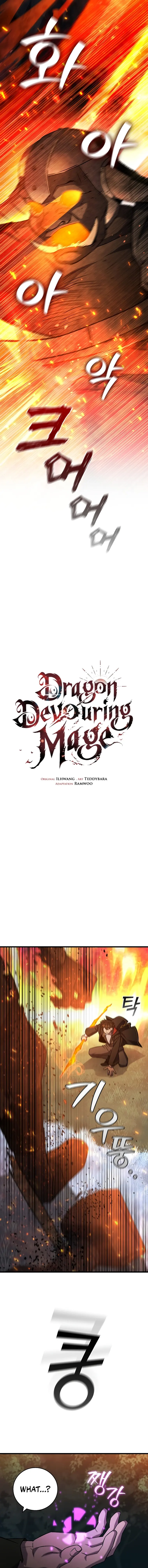 Read Dragon-Devouring Mage Manga Online