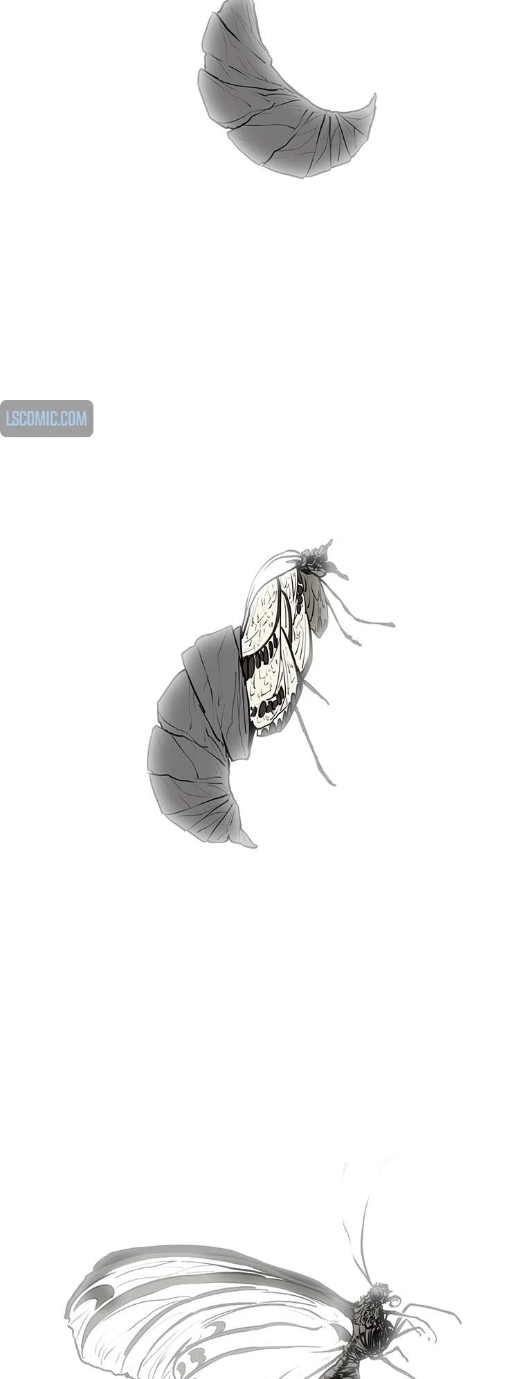 Read Legend Of The Northern Blade Manga Online