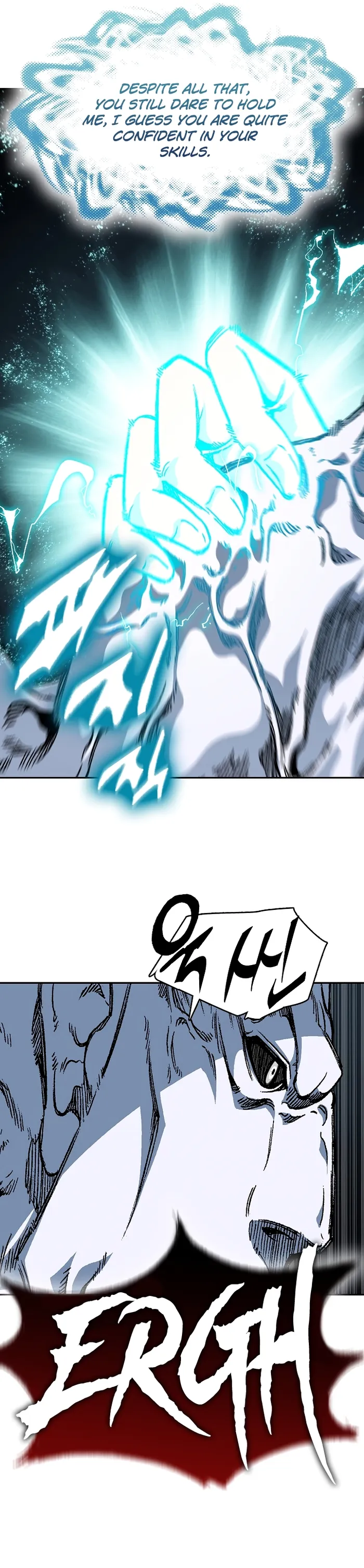 Read Memoir Of The King Of War Manga Online