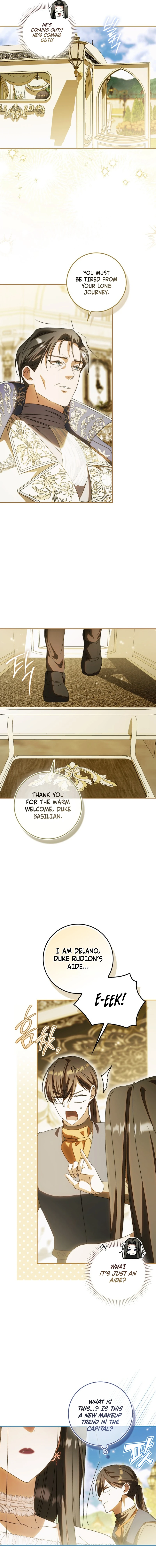 Read My Husband Is My Favorite, but I Think I'm Going to Get Divorced Manga Online