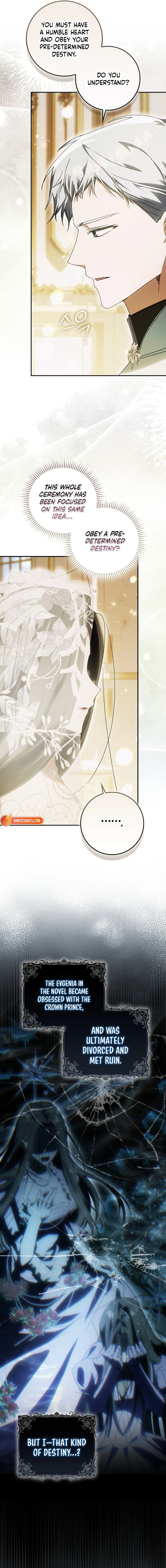 Read My Husband Is My Favorite, but I Think I'm Going to Get Divorced Manga Online