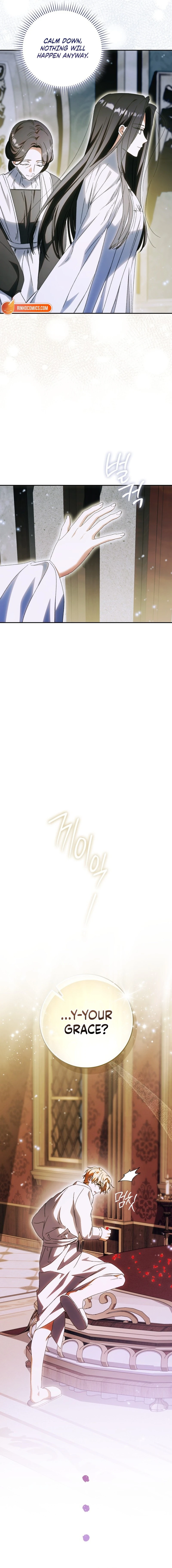 Read My Husband Is My Favorite, but I Think I'm Going to Get Divorced Manga Online