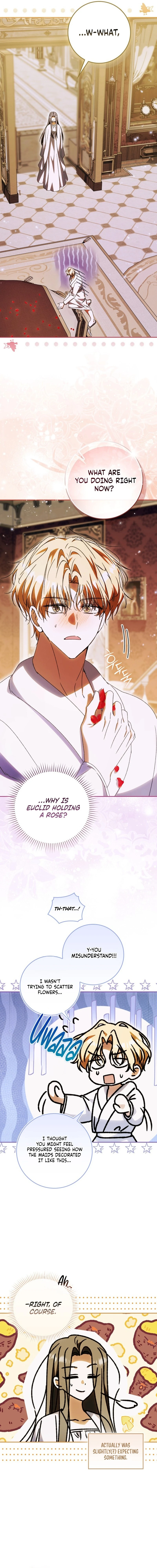 Read My Husband Is My Favorite, but I Think I'm Going to Get Divorced Manga Online