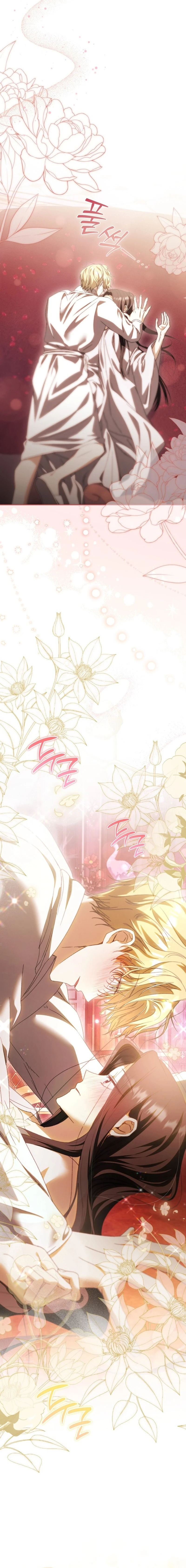 Read My Husband Is My Favorite, but I Think I'm Going to Get Divorced Manga Online