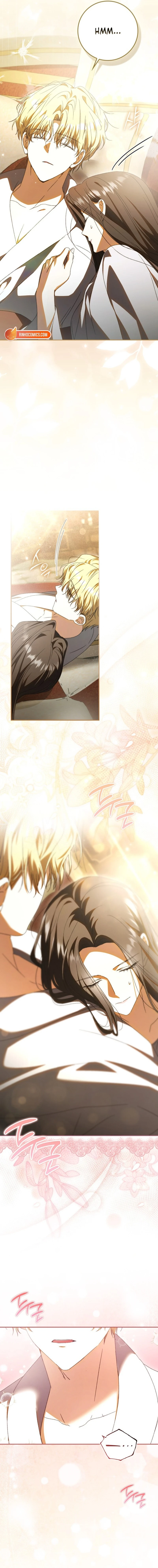 Read My Husband Is My Favorite, but I Think I'm Going to Get Divorced Manga Online