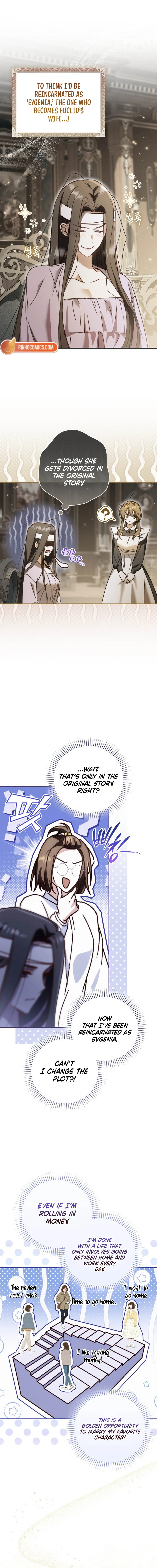 Read My Husband Is My Favorite, but I Think I'm Going to Get Divorced Manga Online