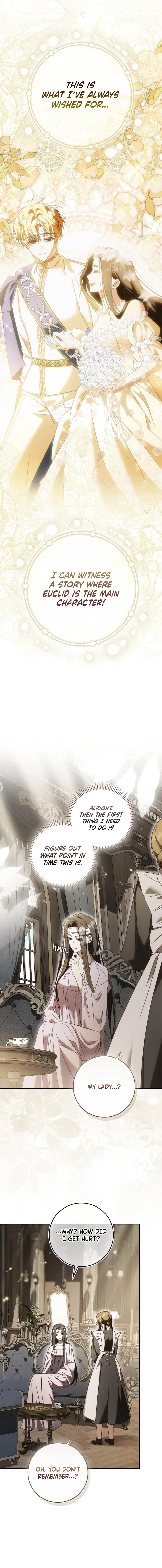 Read My Husband Is My Favorite, but I Think I'm Going to Get Divorced Manga Online