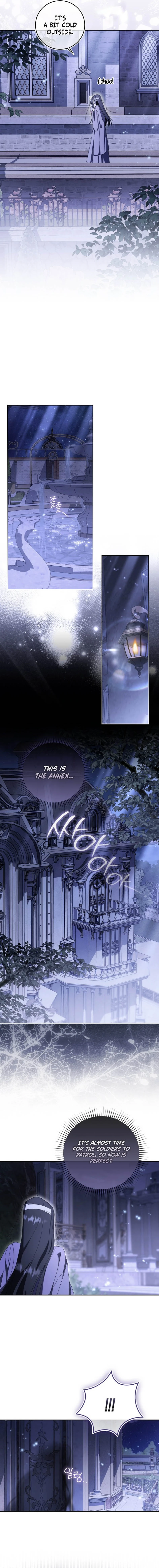 Read My Husband Is My Favorite, but I Think I'm Going to Get Divorced Manga Online