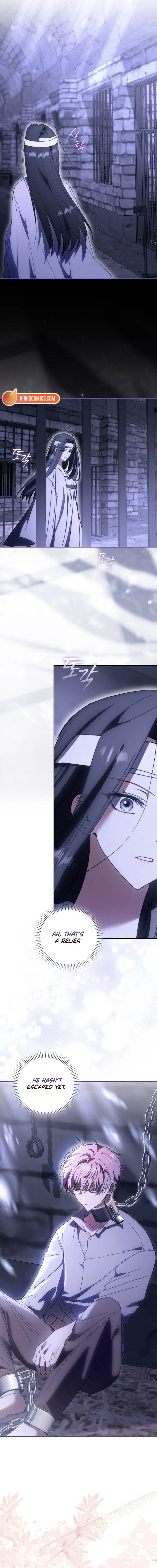 Read My Husband Is My Favorite, but I Think I'm Going to Get Divorced Manga Online