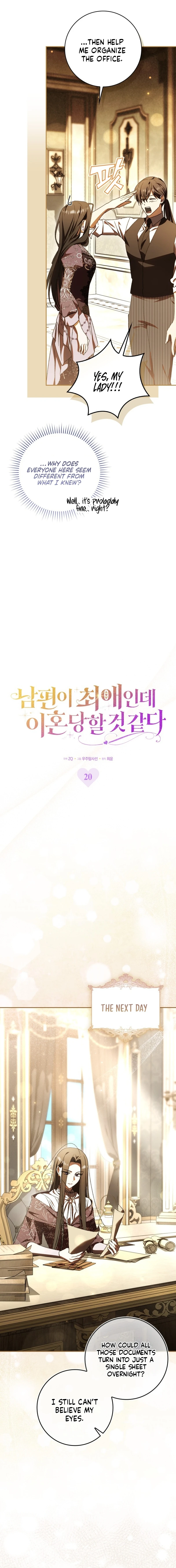 Read My Husband Is My Favorite, but I Think I'm Going to Get Divorced Manga Online