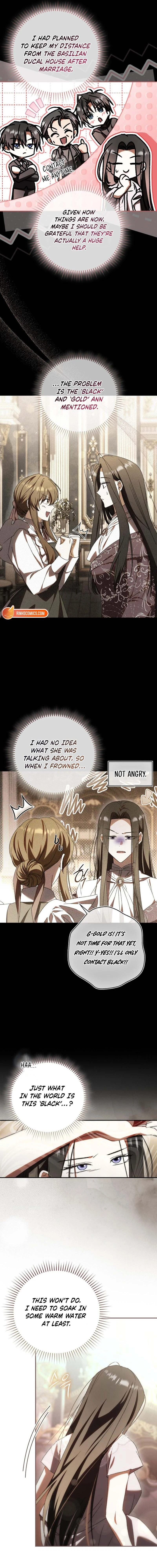 Read My Husband Is My Favorite, but I Think I'm Going to Get Divorced Manga Online