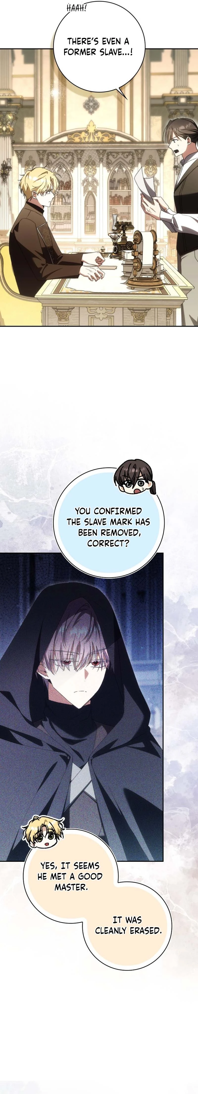 Read My Husband Is My Favorite, but I Think I'm Going to Get Divorced Manga Online