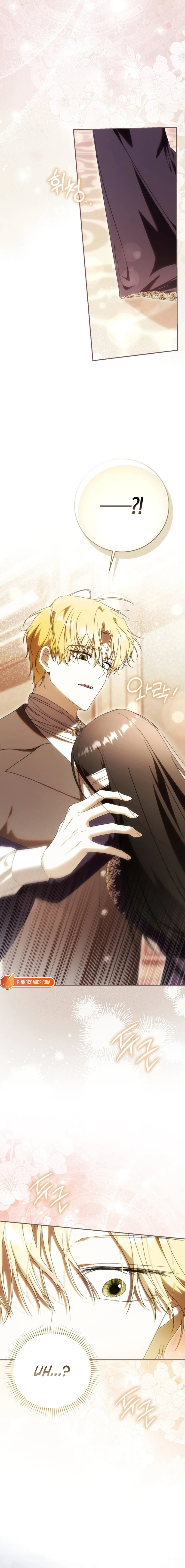 Read My Husband Is My Favorite, but I Think I'm Going to Get Divorced Manga Online