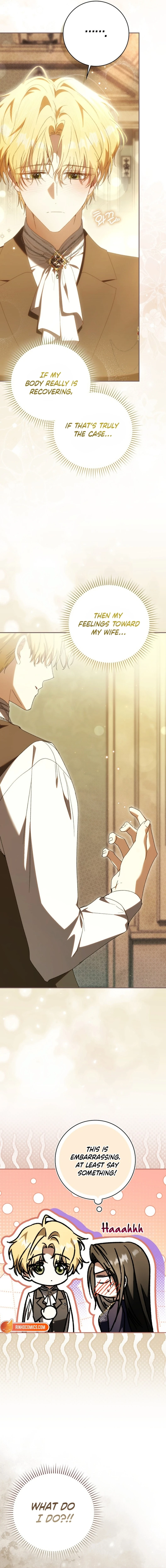 Read My Husband Is My Favorite, but I Think I'm Going to Get Divorced Manga Online