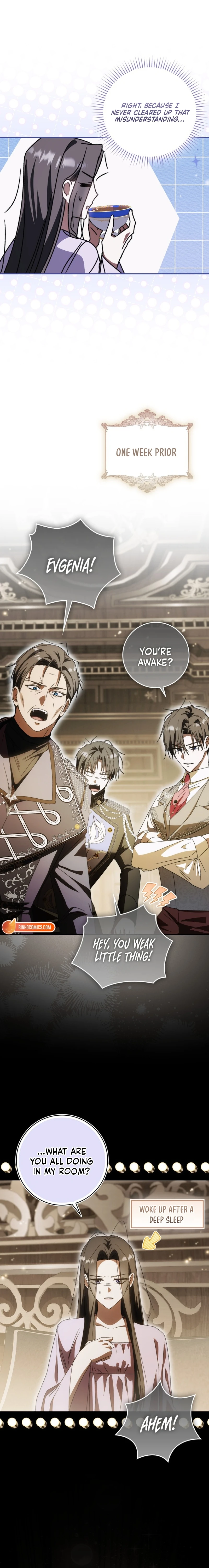 Read My Husband Is My Favorite, but I Think I'm Going to Get Divorced Manga Online