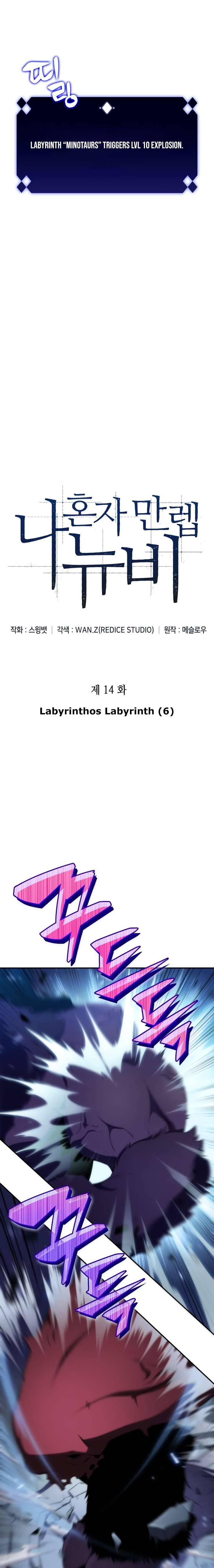 Read Solo Max-Level Newbie Manga Online