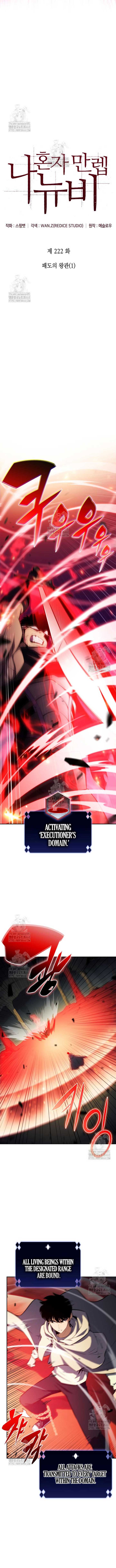 Read Solo Max-Level Newbie Manga Online