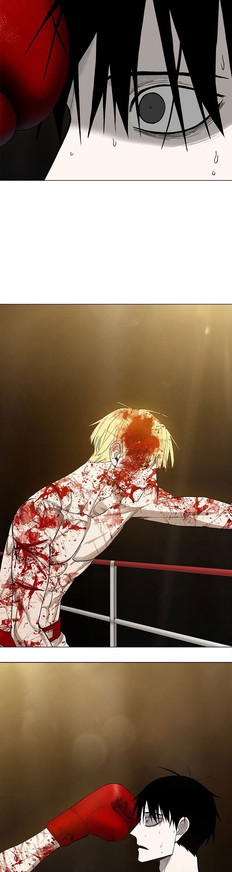 Read The Boxer Manga Online