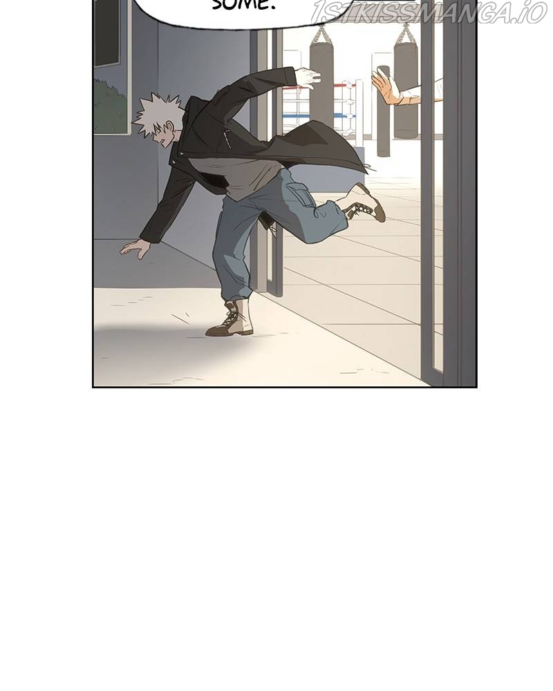 Read The Boxer Manga Online