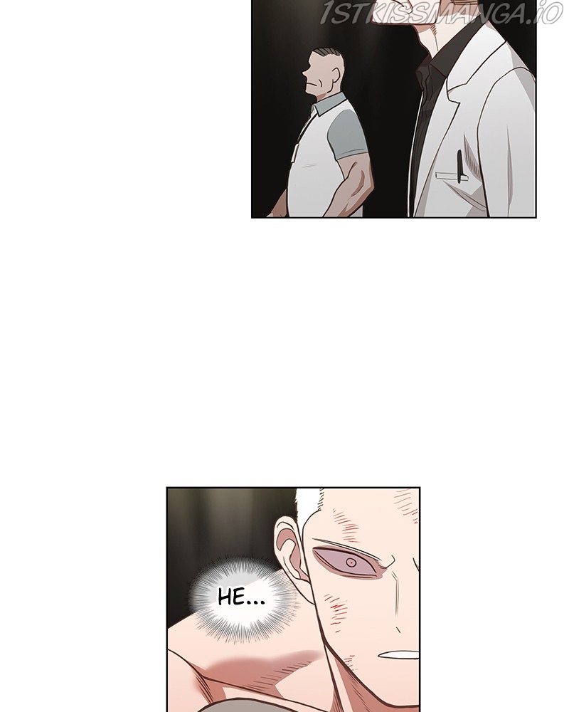 Read The Boxer Manga Online