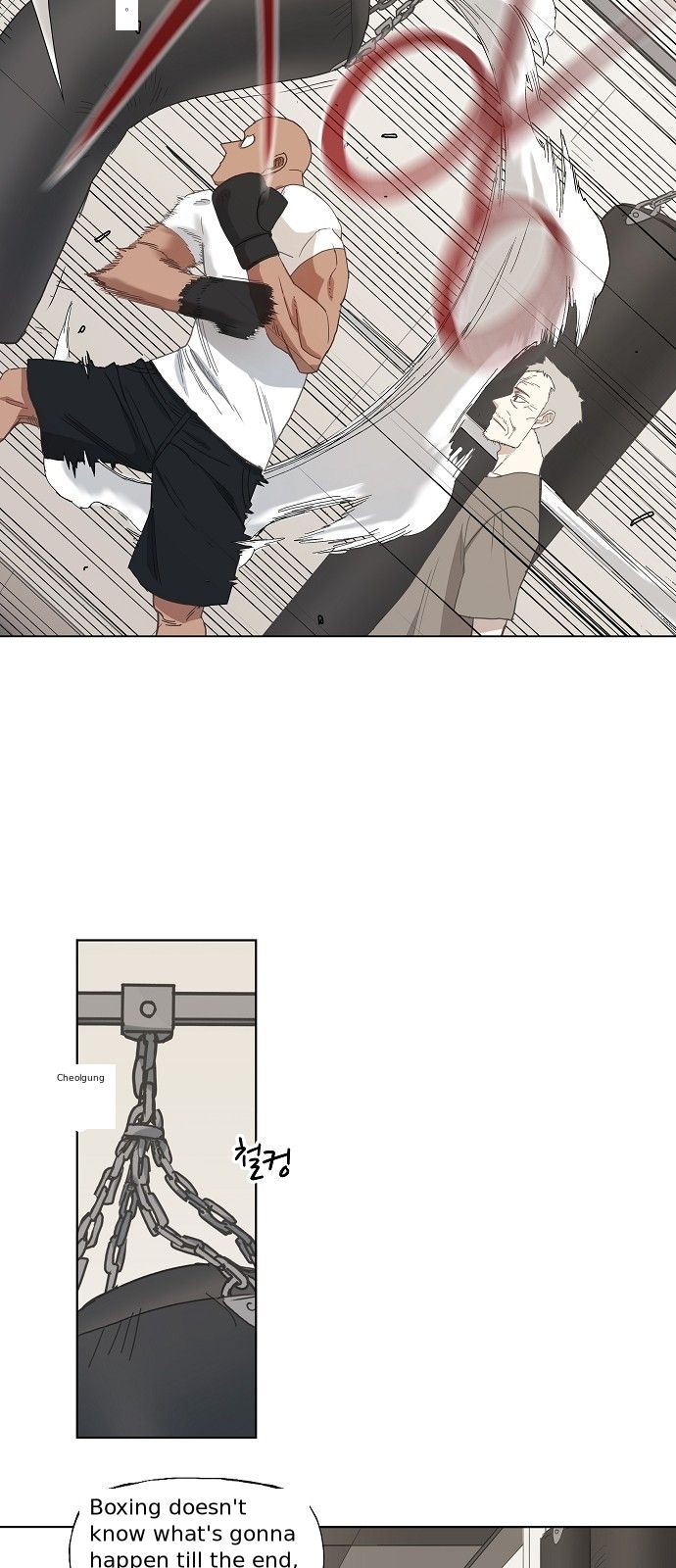 Read The Boxer Manga Online
