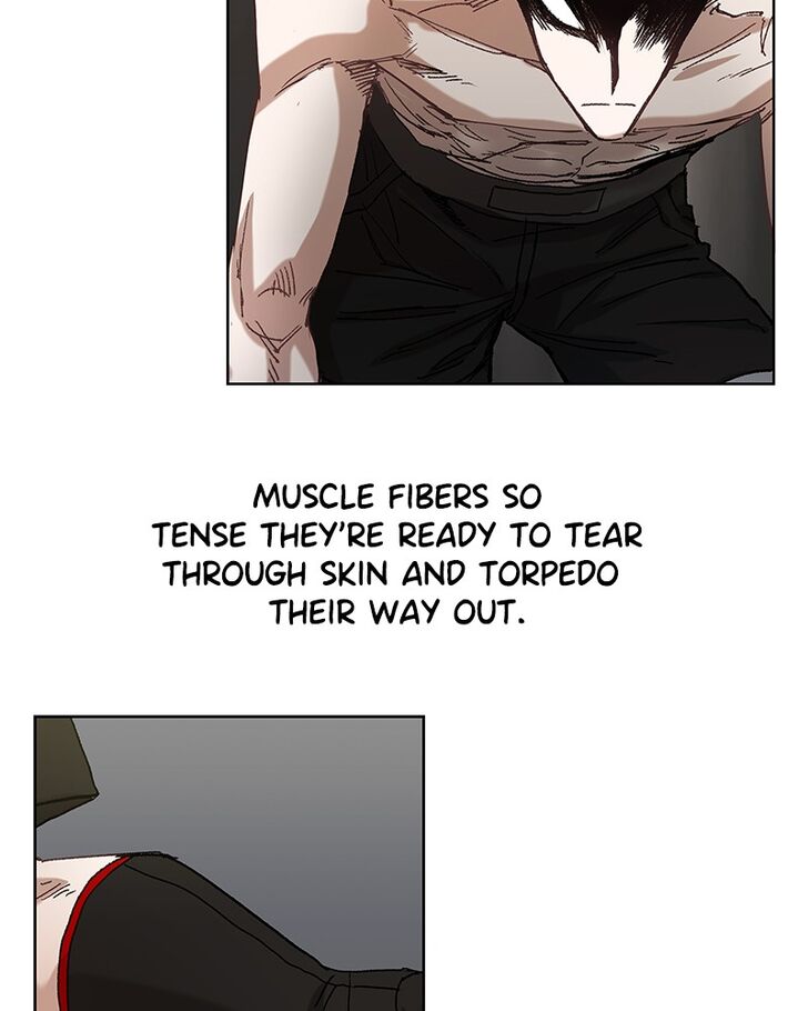 Read The Boxer Manga Online