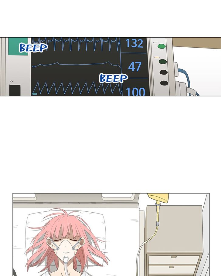 Read The Boxer Manga Online