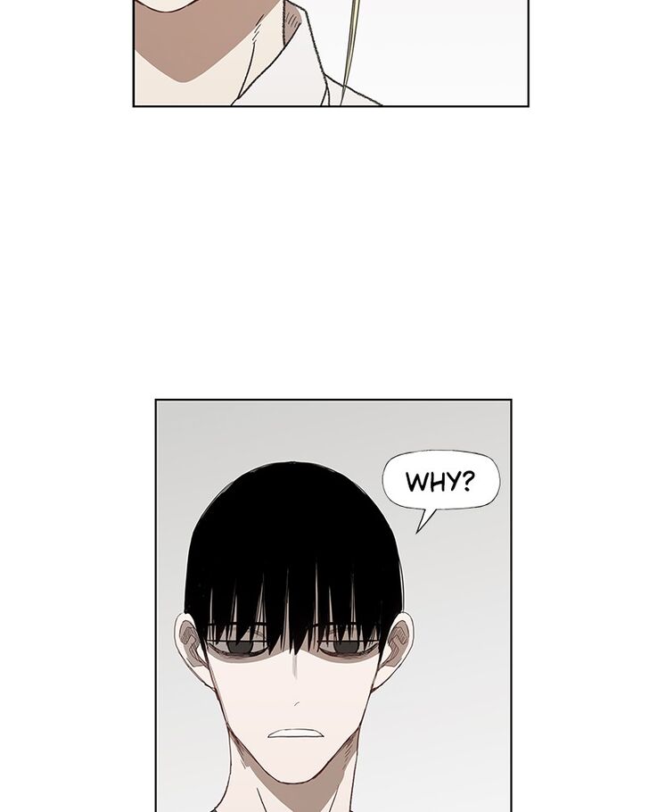 Read The Boxer Manga Online