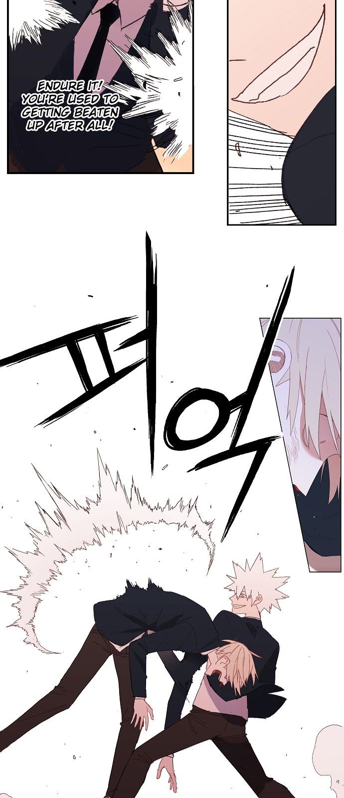 Read The Boxer Manga Online