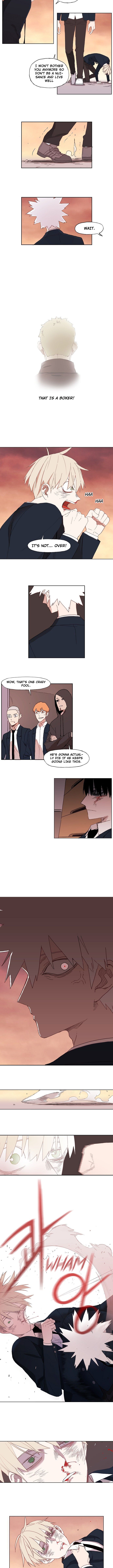 Read The Boxer Manga Online