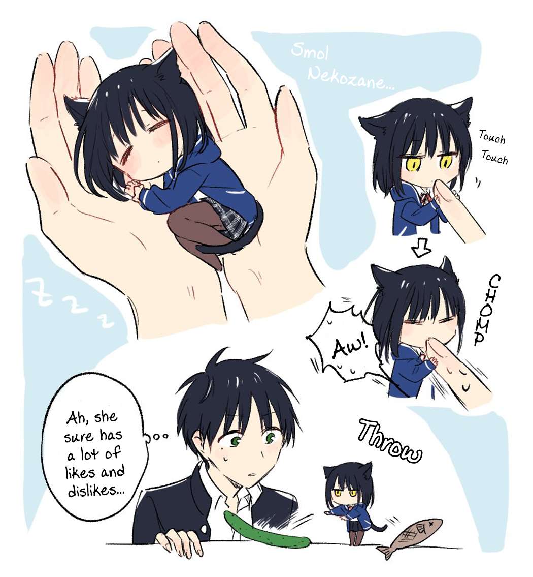 Read Tonari No Neko To Koi Shirazu Manga Online