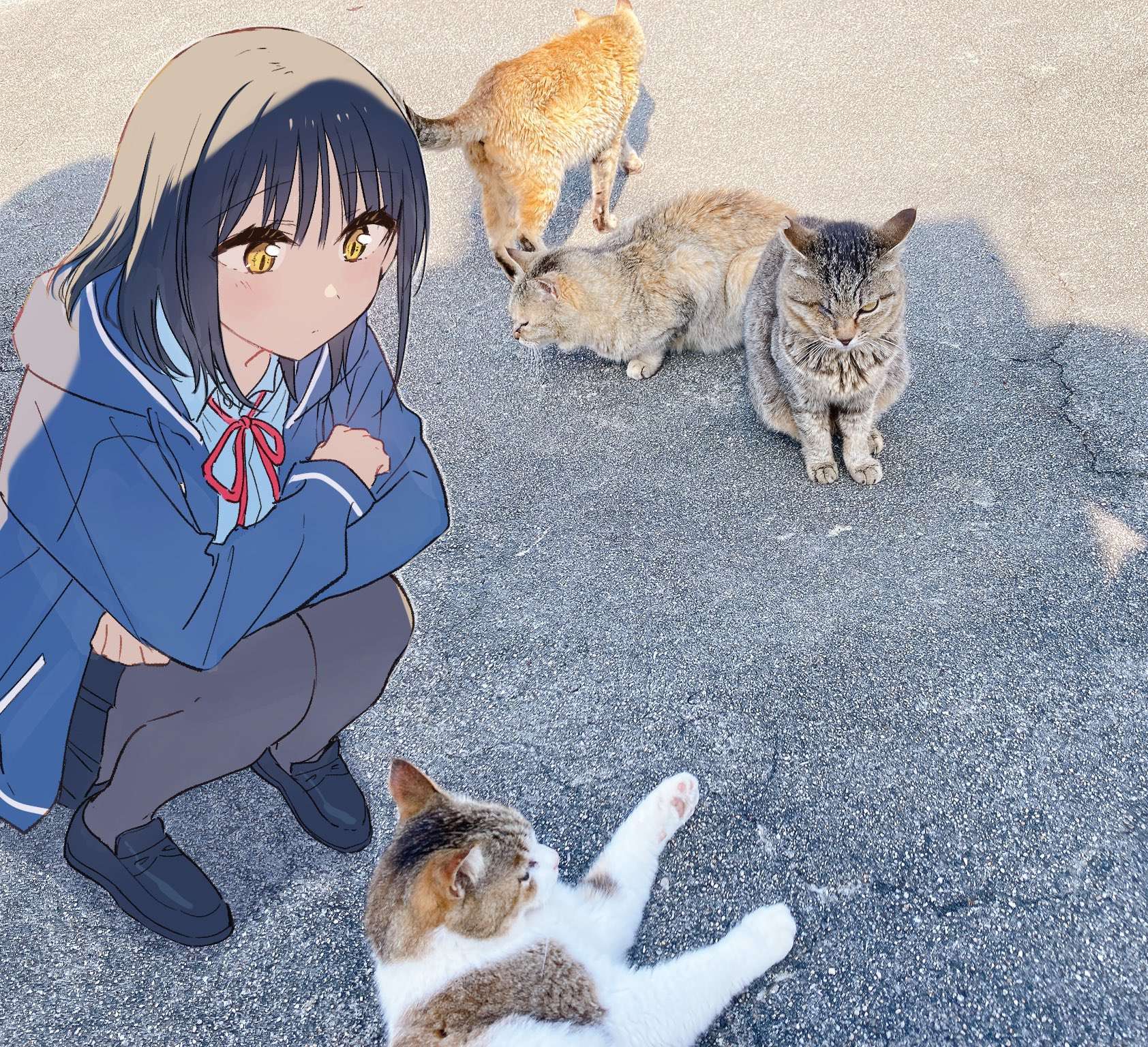 Read Tonari No Neko To Koi Shirazu Manga Online