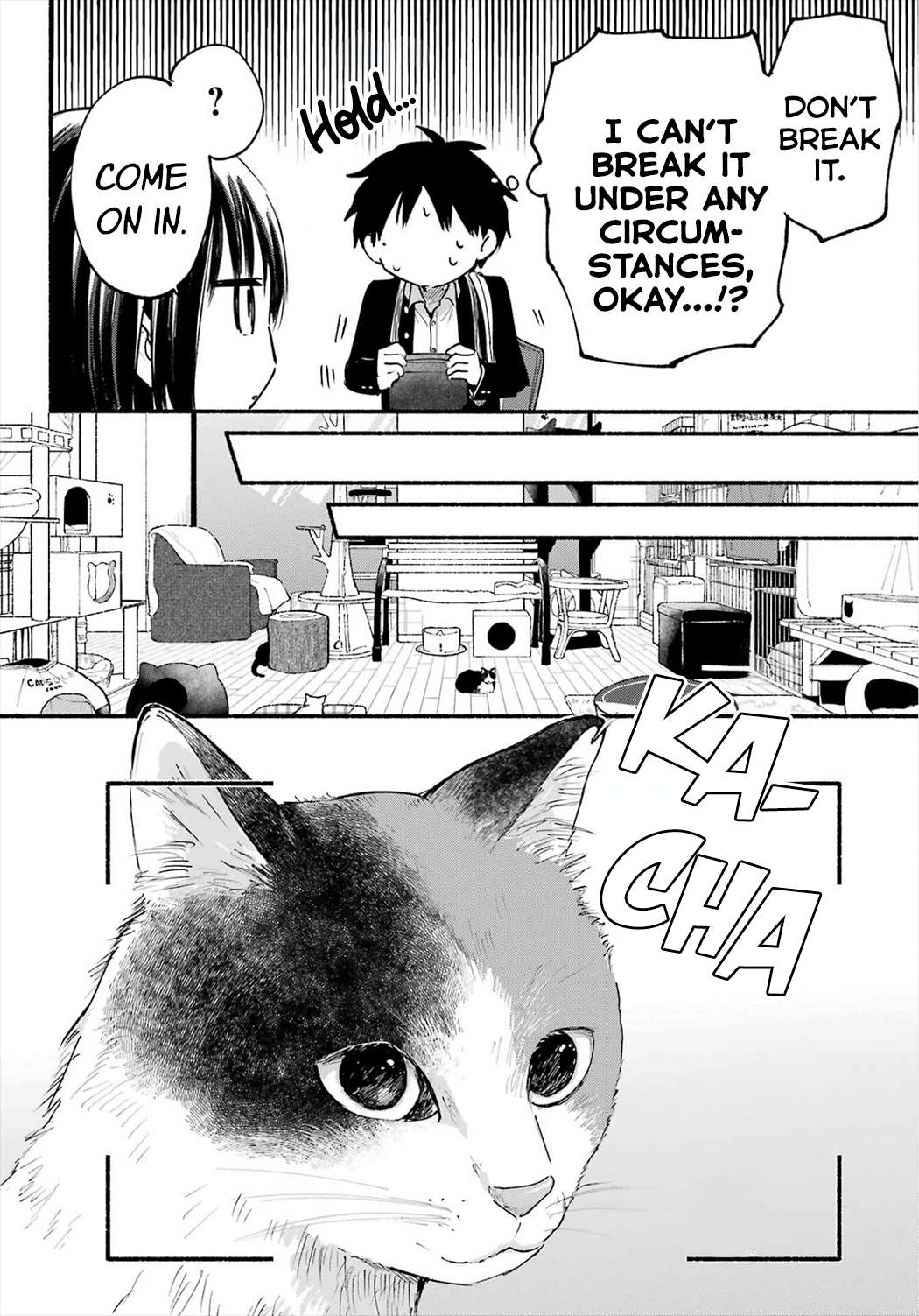 Read Tonari No Neko To Koi Shirazu Manga Online