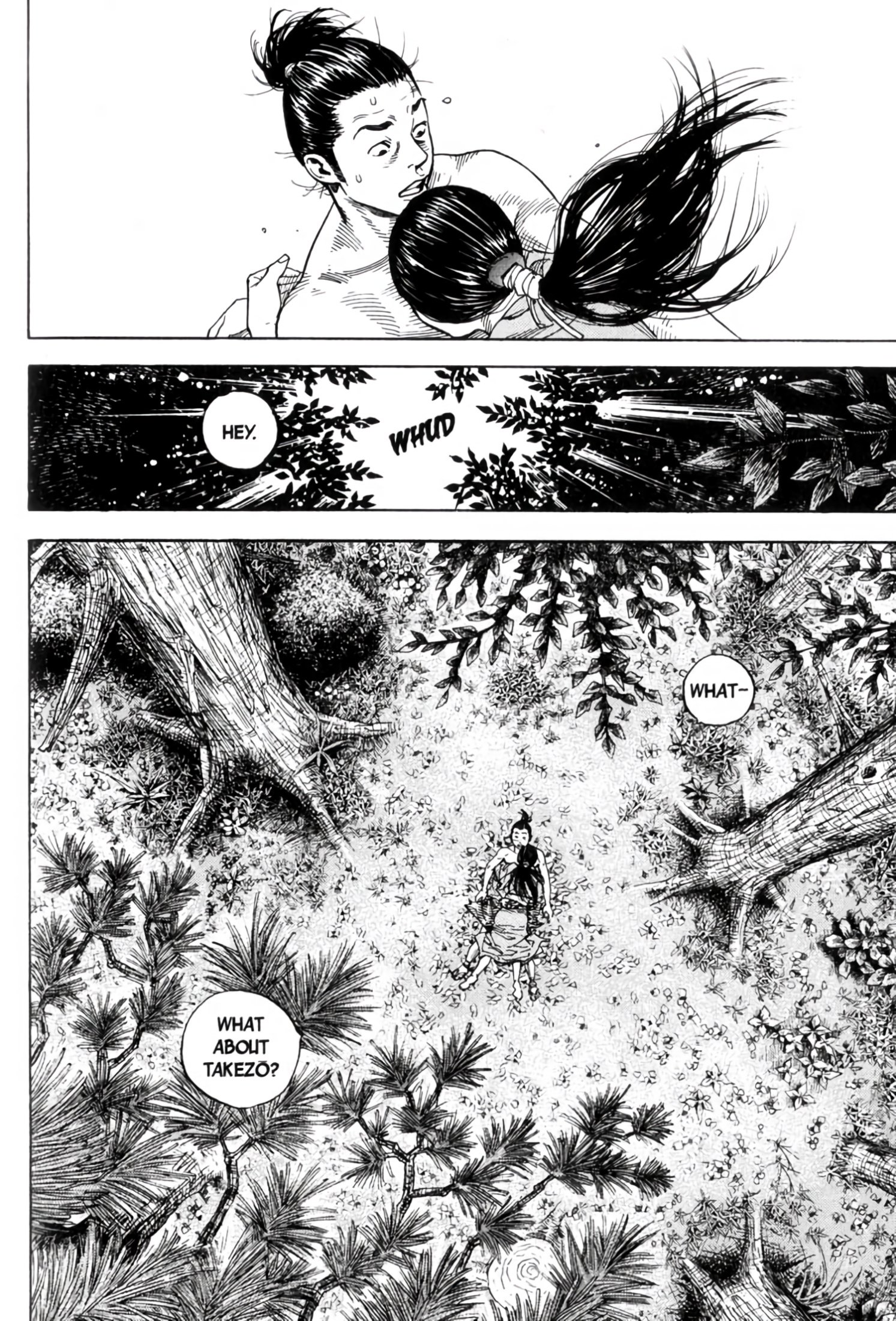 Read Vagabond Manga Online