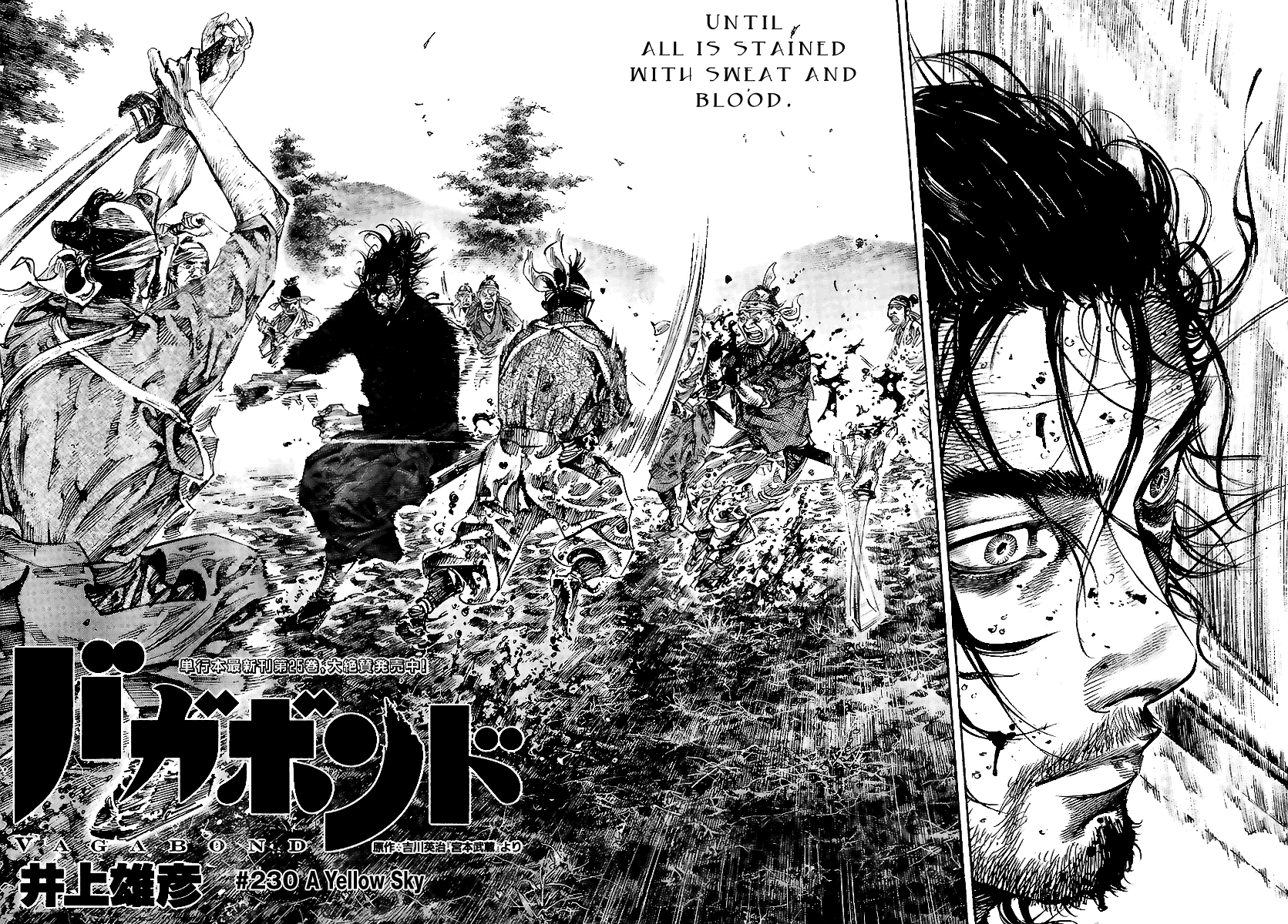 Read Vagabond Manga Online