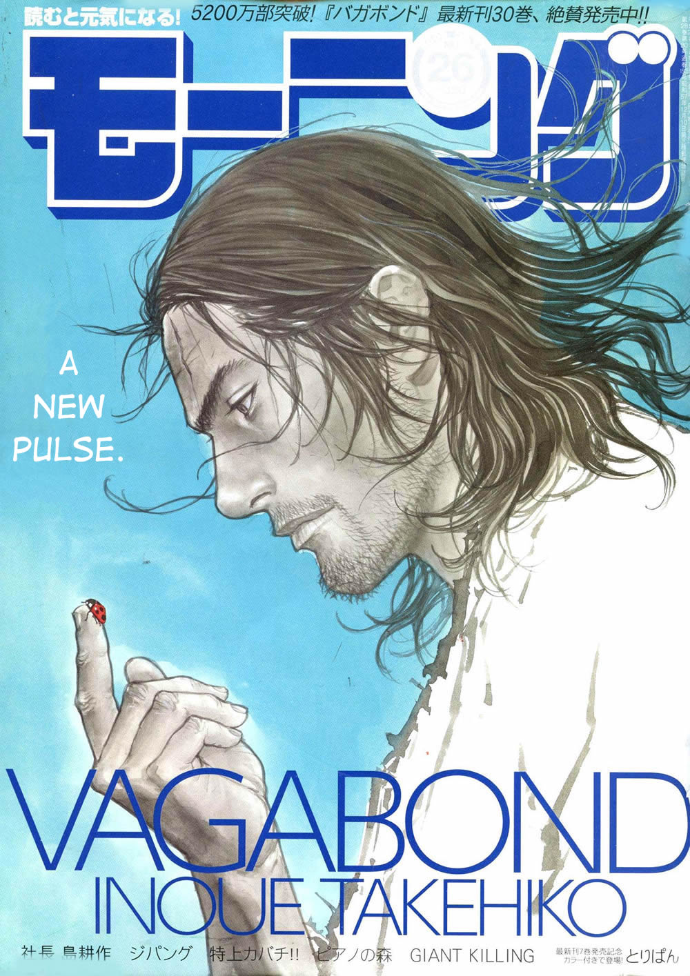 Read Vagabond Manga Online