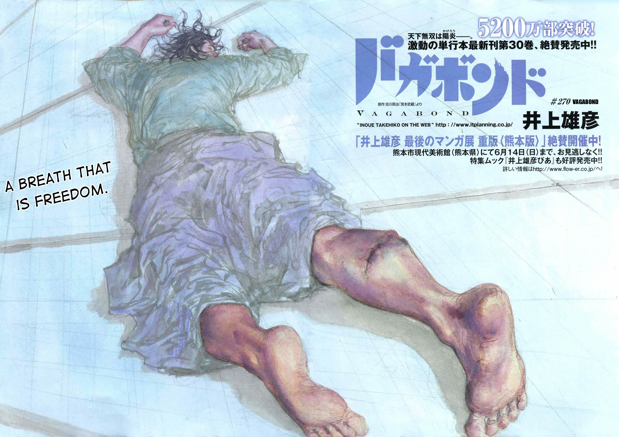 Read Vagabond Manga Online