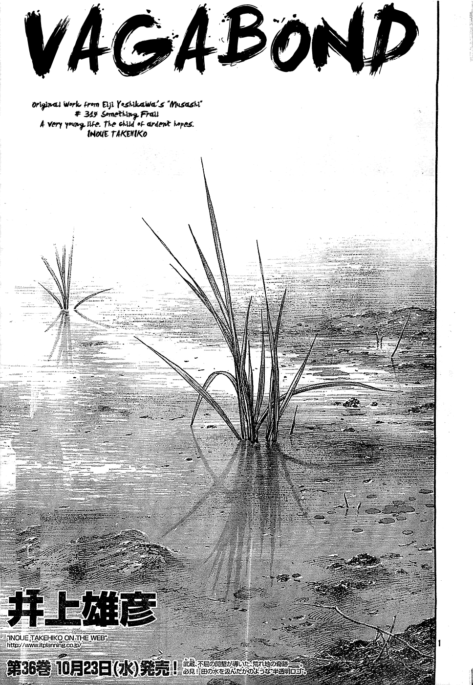 Read Vagabond Manga Online