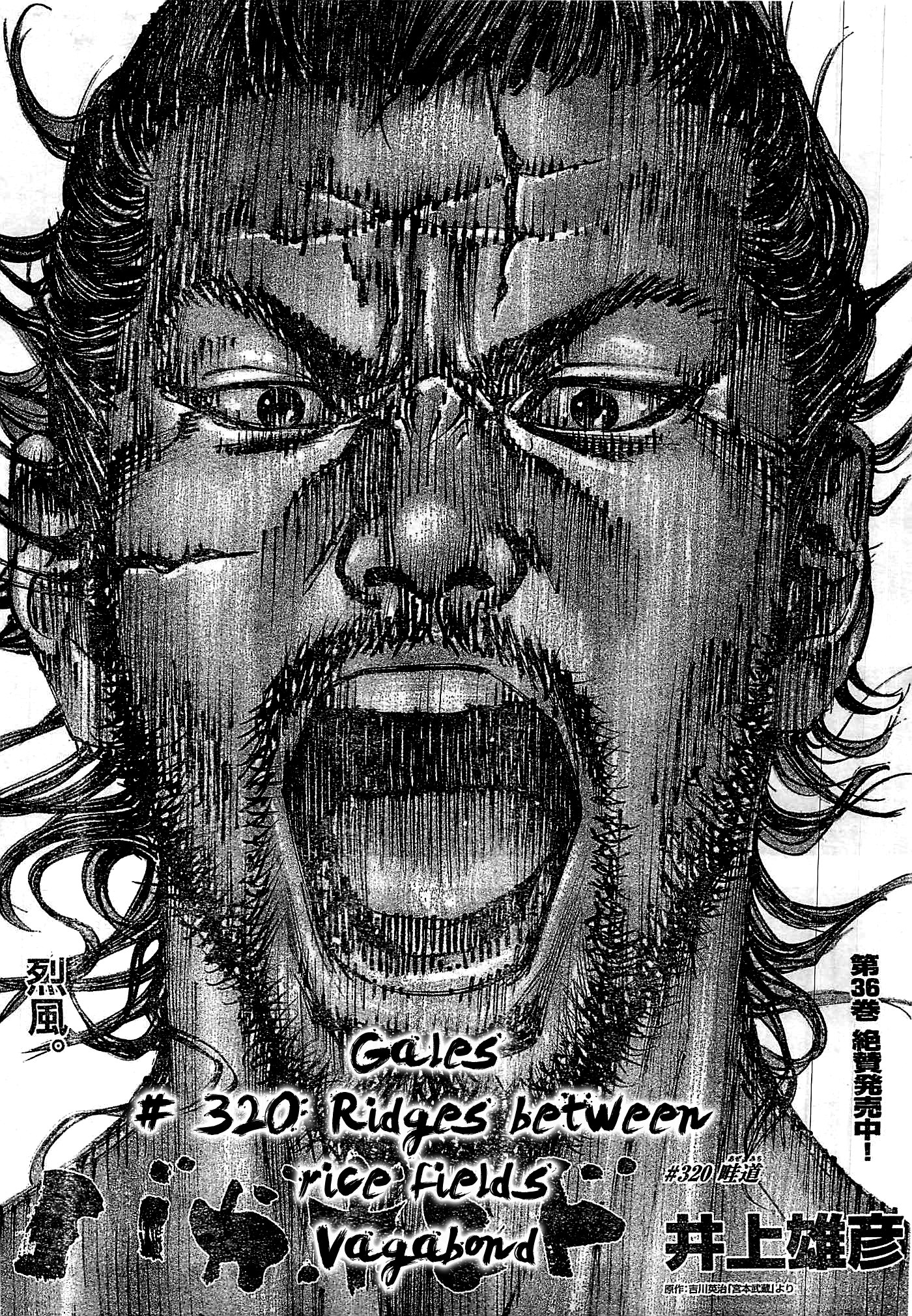 Read Vagabond Manga Online