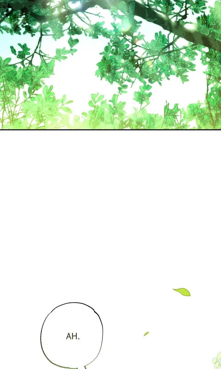 Read Welcome to Rose Manor Manga Online