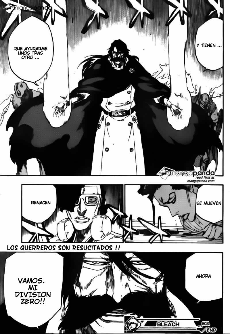 Read Bleach es Manga Online